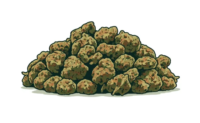 Illustration bruce banner webp