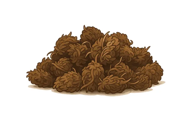 Illustration saphir kush webp