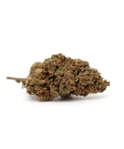 Produit amnesiajsh 1