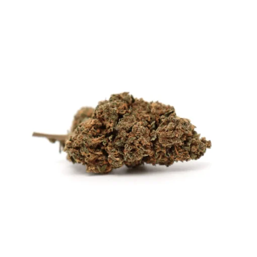 Produit amnesiajsh 1