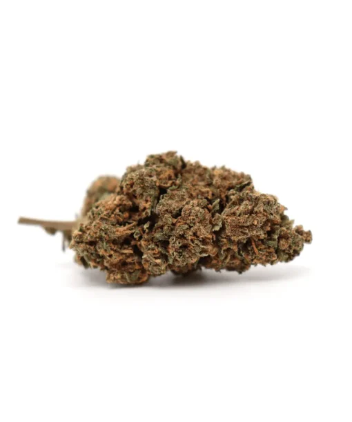Produit amnesiajsh 1