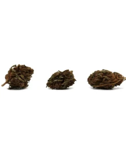 Produit canopy 2