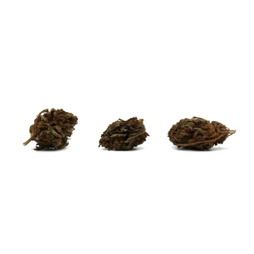 Produit canopy 2