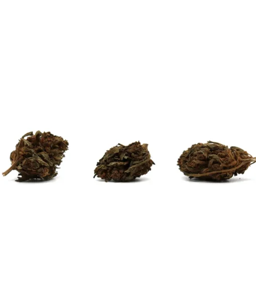 Produit canopy 2