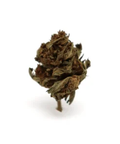 Produit canopy b1
