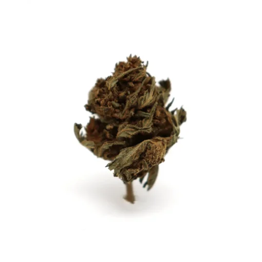 Produit canopy b1