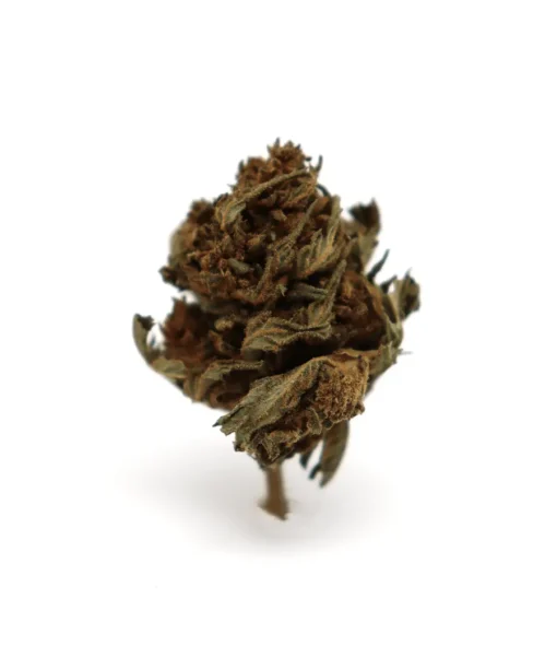 Produit canopy b1