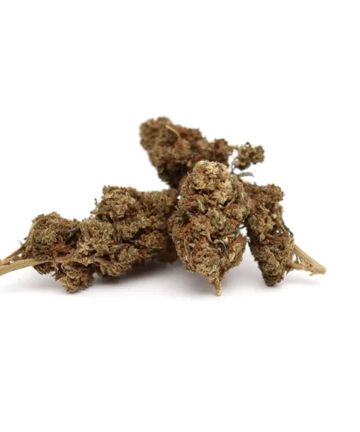 Produit phoenixpunchb30c 2