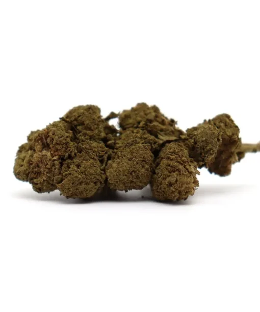 Produit phoenixpunchb30h 1