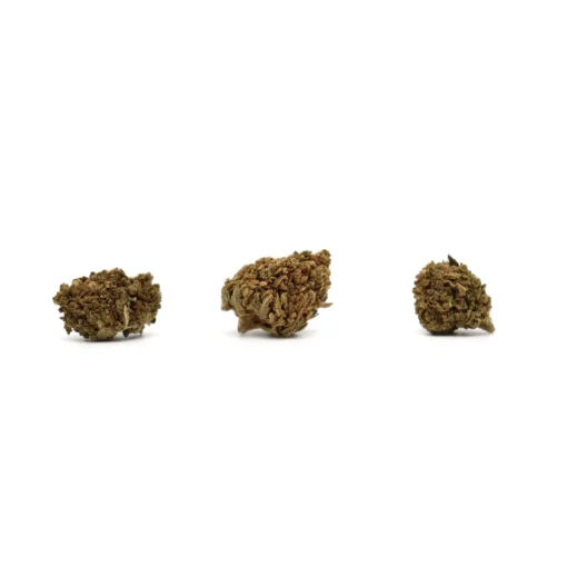 Produit smallskunk 2
