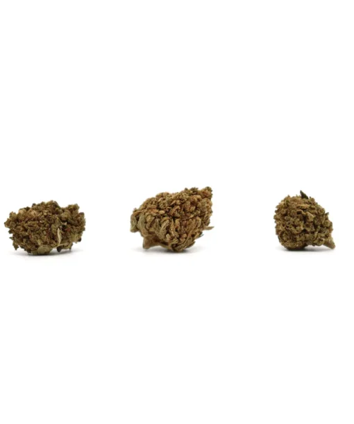 Produit smallskunk 2