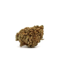 Produit smallskunk b1