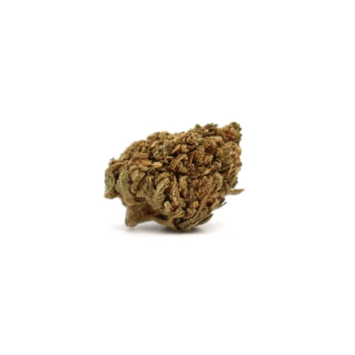Produit smallskunk b1