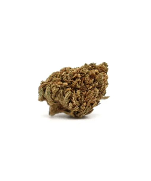 Produit smallskunk b1
