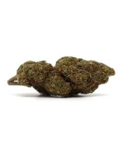 Produit snowOG1