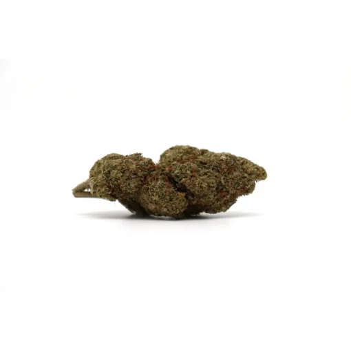 Produit snowog 1
