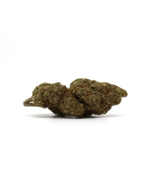 Produit snowog 1