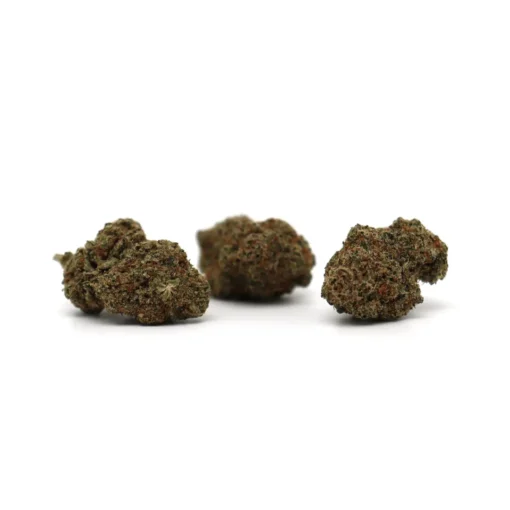 Produit snowog 2