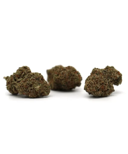 Produit snowog 2