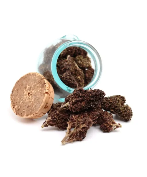 Produit bluemeringue 3