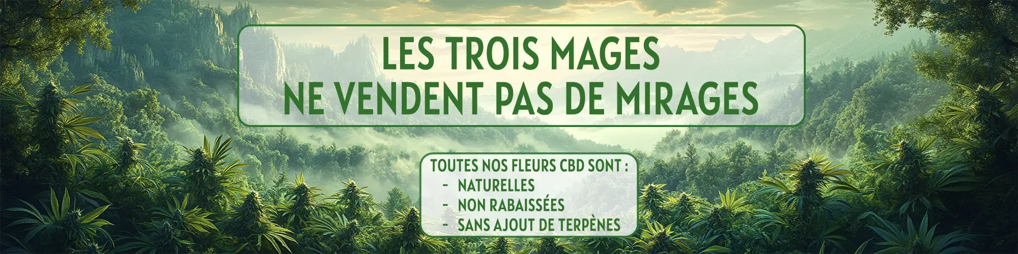 Banniere2 3m