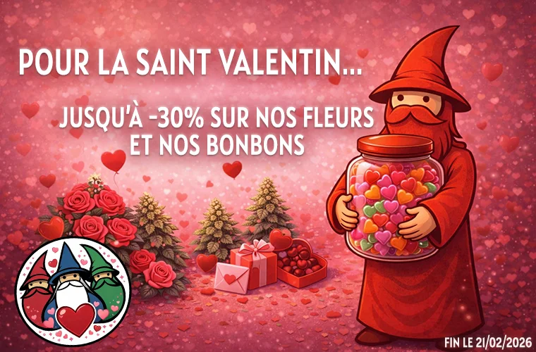 Banniere ValentinTEL1