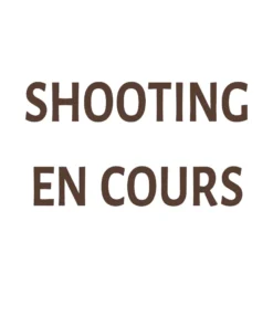 Shootingencours1