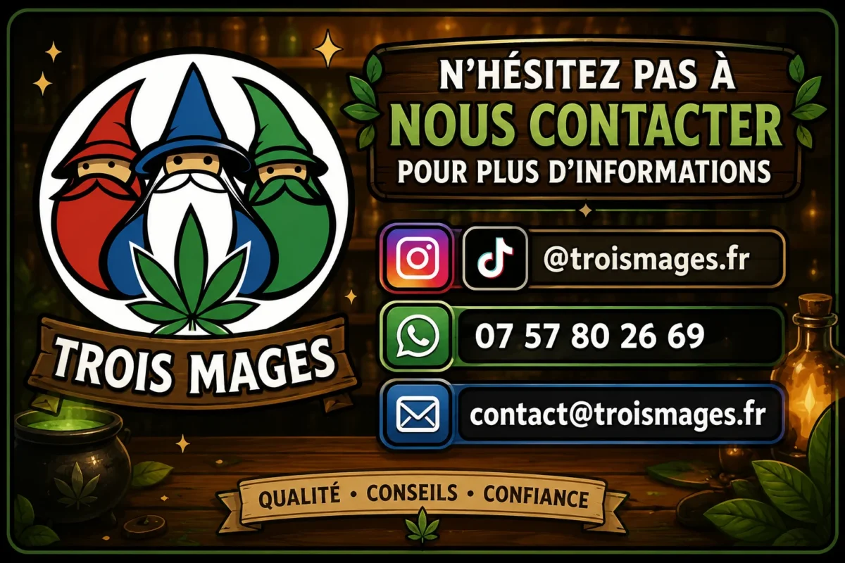 Blog Contactez nous