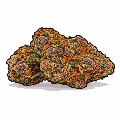 Illustration glazzygrape