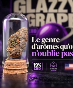 Illustration glazzygrape