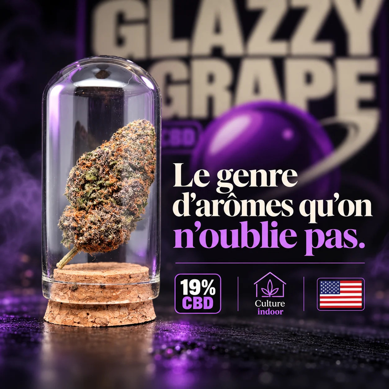 Illustration glazzygrape