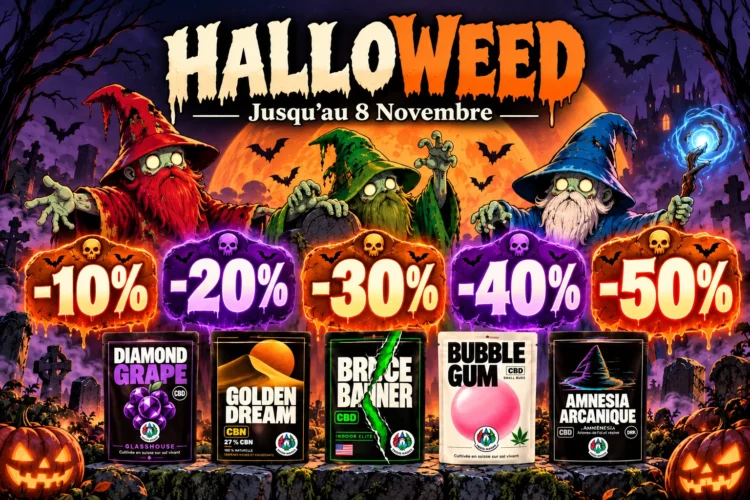 Bannière Halloween Tel2